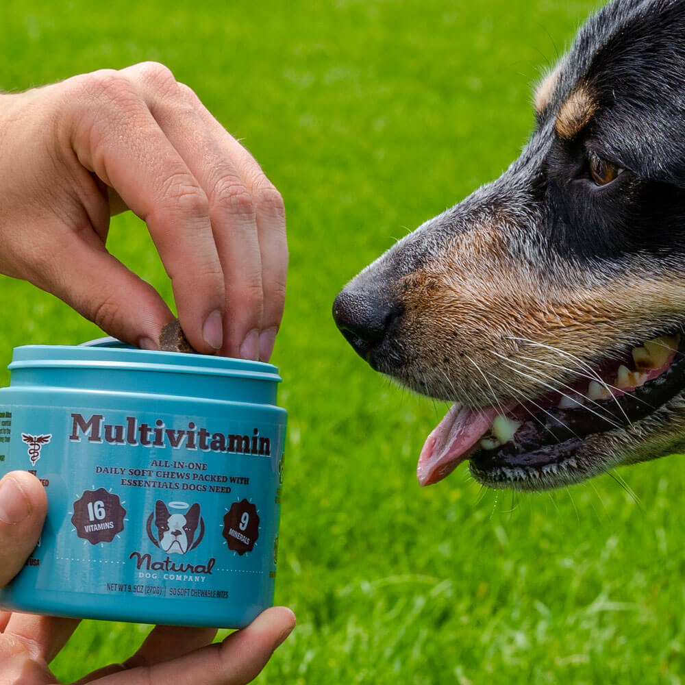 Pure Wellness for Every Paw